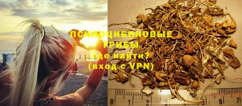 купить закладку  Покров  Псилоцибиновые грибы Psilocybine cubensis 